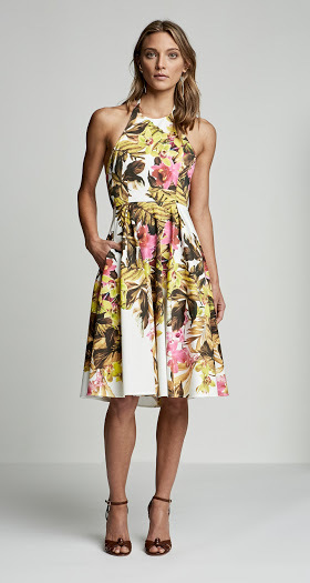 Scanlan Theodore Other for lend