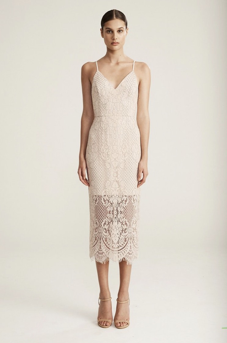 Designer rental Shona Joy Lace Cocktail Straight Midi Dress