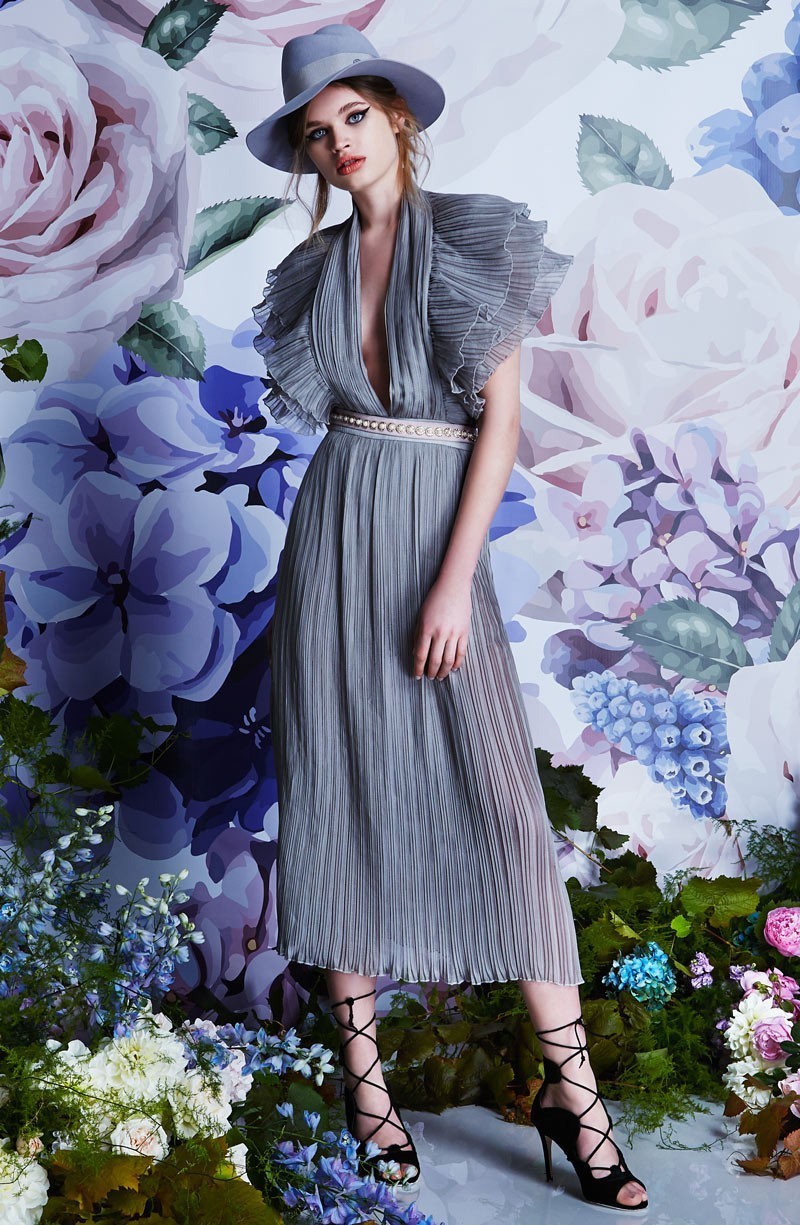 Rental Asilio Ruffle Your Feathers