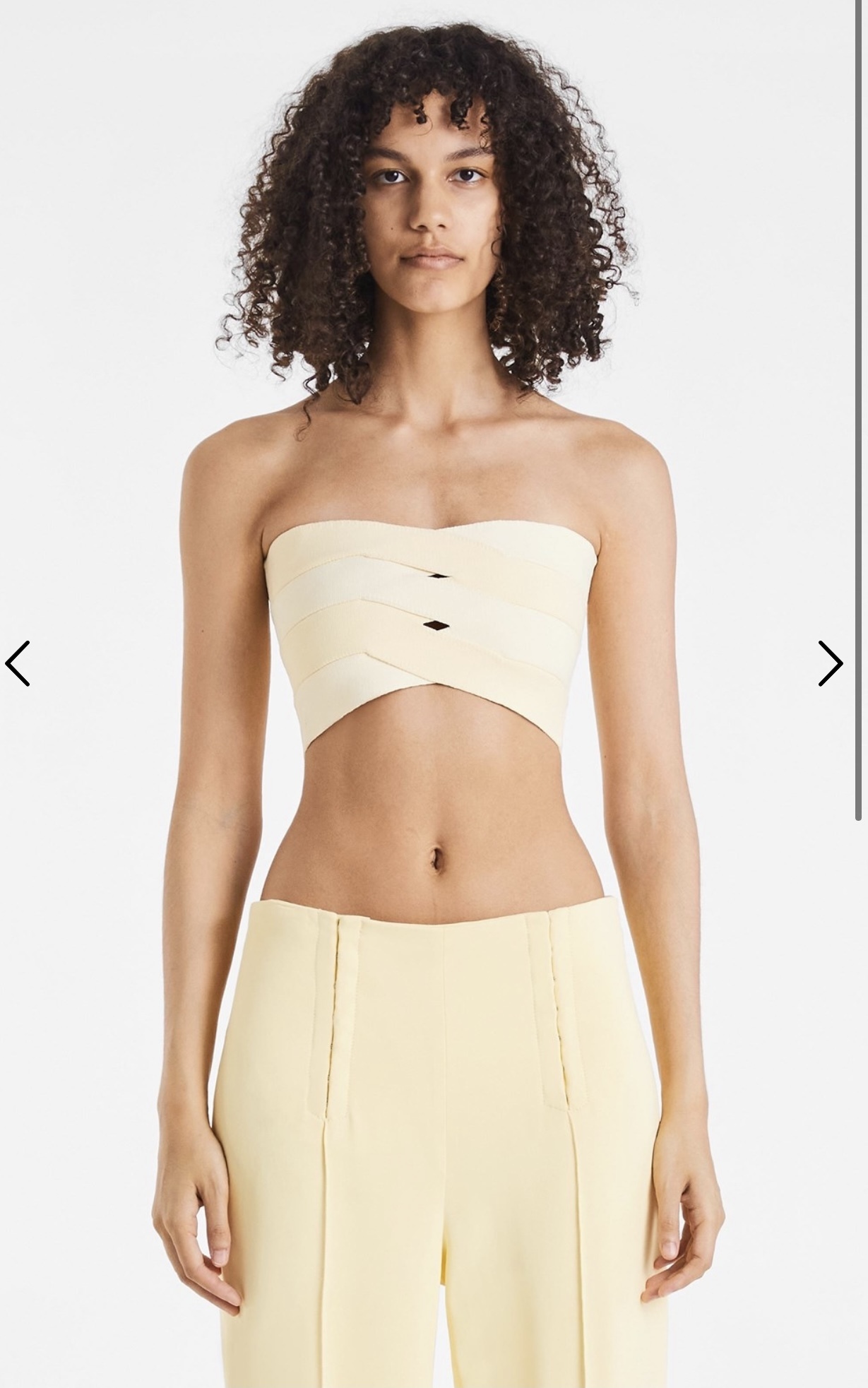 Rental Dion Lee Interlock Bustier