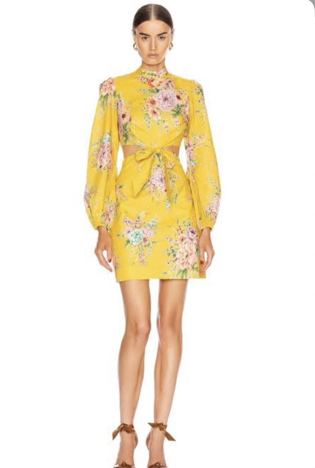Borrow a Zimmermann Zinnia Bow Dress