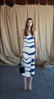 Borrow a Scanlan Theodore Striped Blue Dress