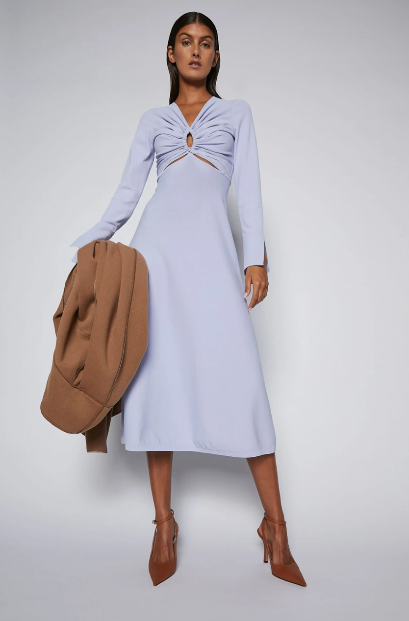 Borrow a Purple Scanlan Theodore