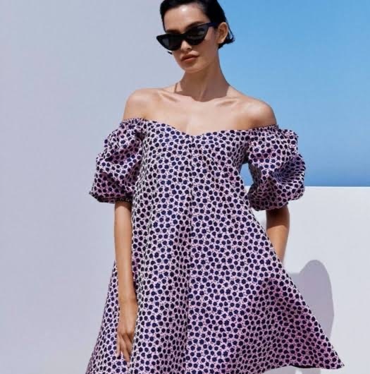 Rent a Pink Scanlan Theodore