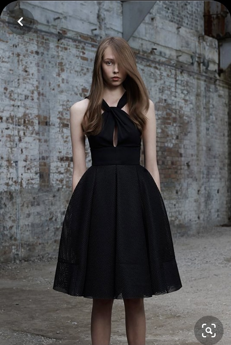 Scanlan Theodore Black to rent