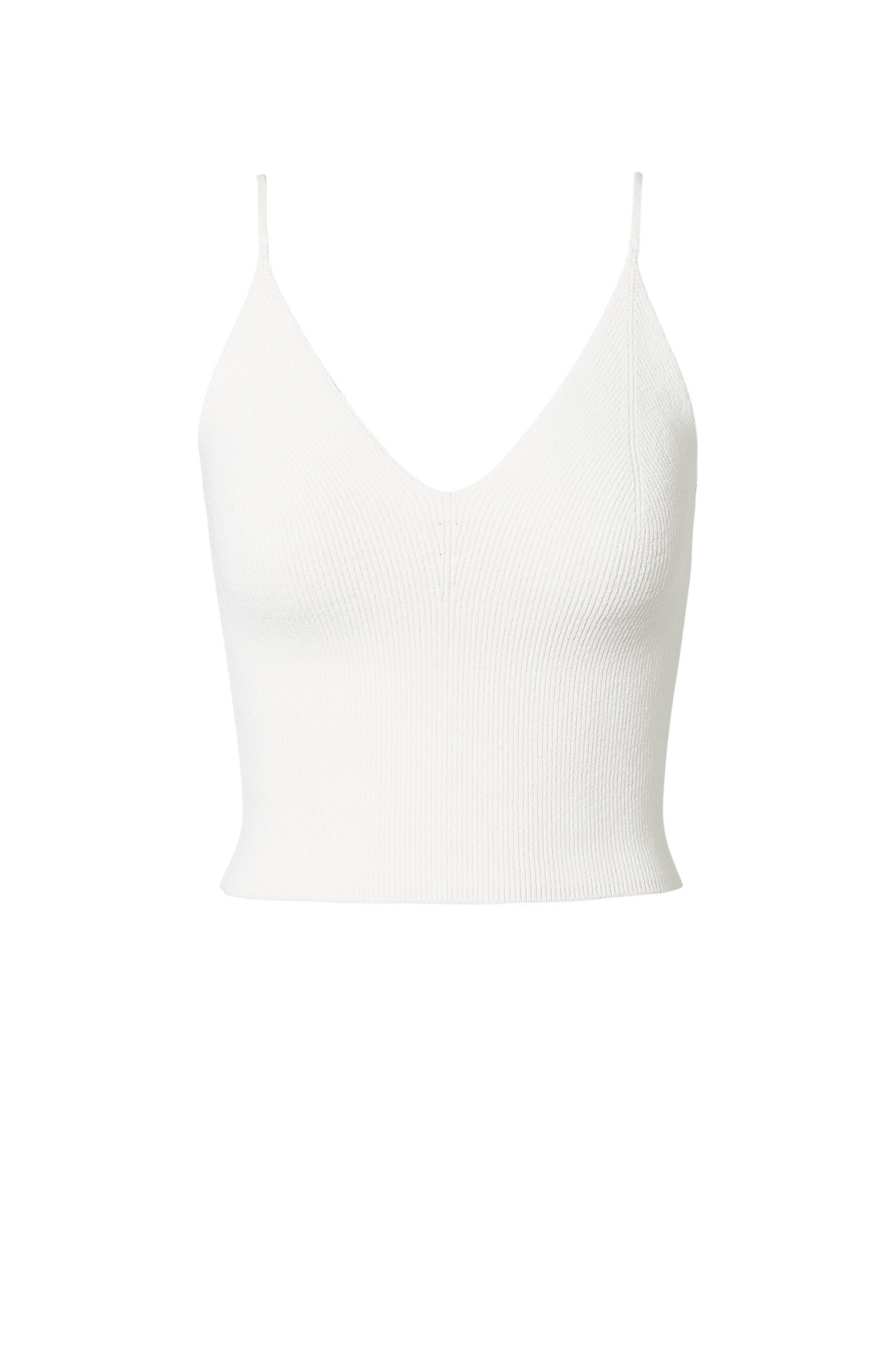 Scanlan Theodore White rental