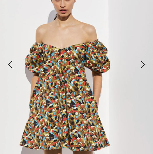 Borrow a Print Scanlan Theodore