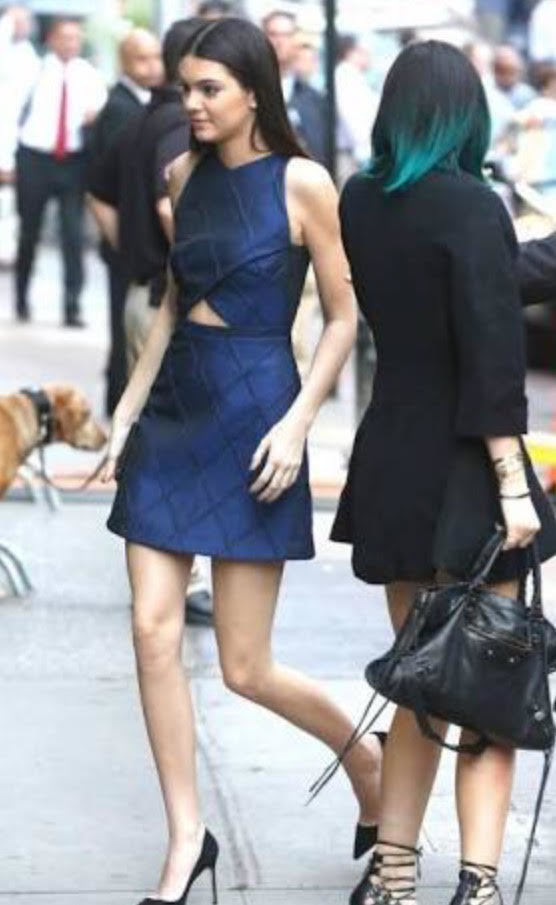 Loan a Camilla And Marc Dress