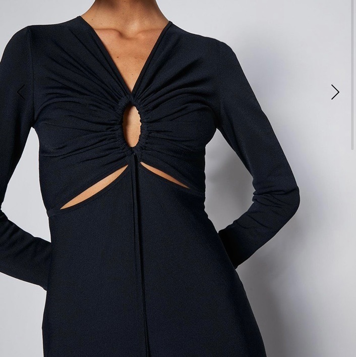 Formal rental Scanlan Theodore Dress