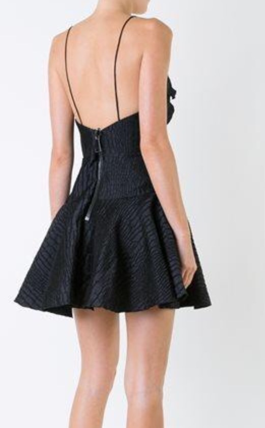 Borrow a Black Alex Perry