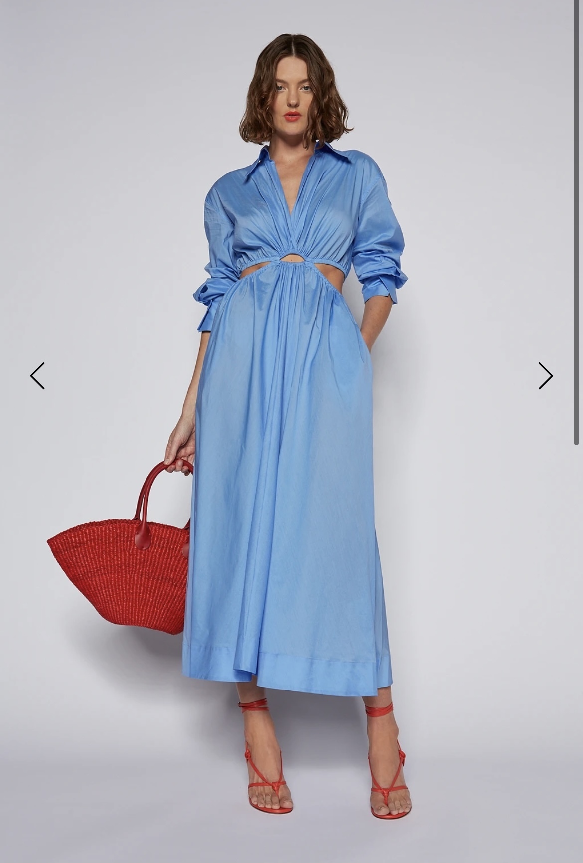 Scanlan Theodore Blue for rent