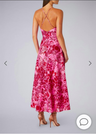 Scanlan Theodore Pink for lend