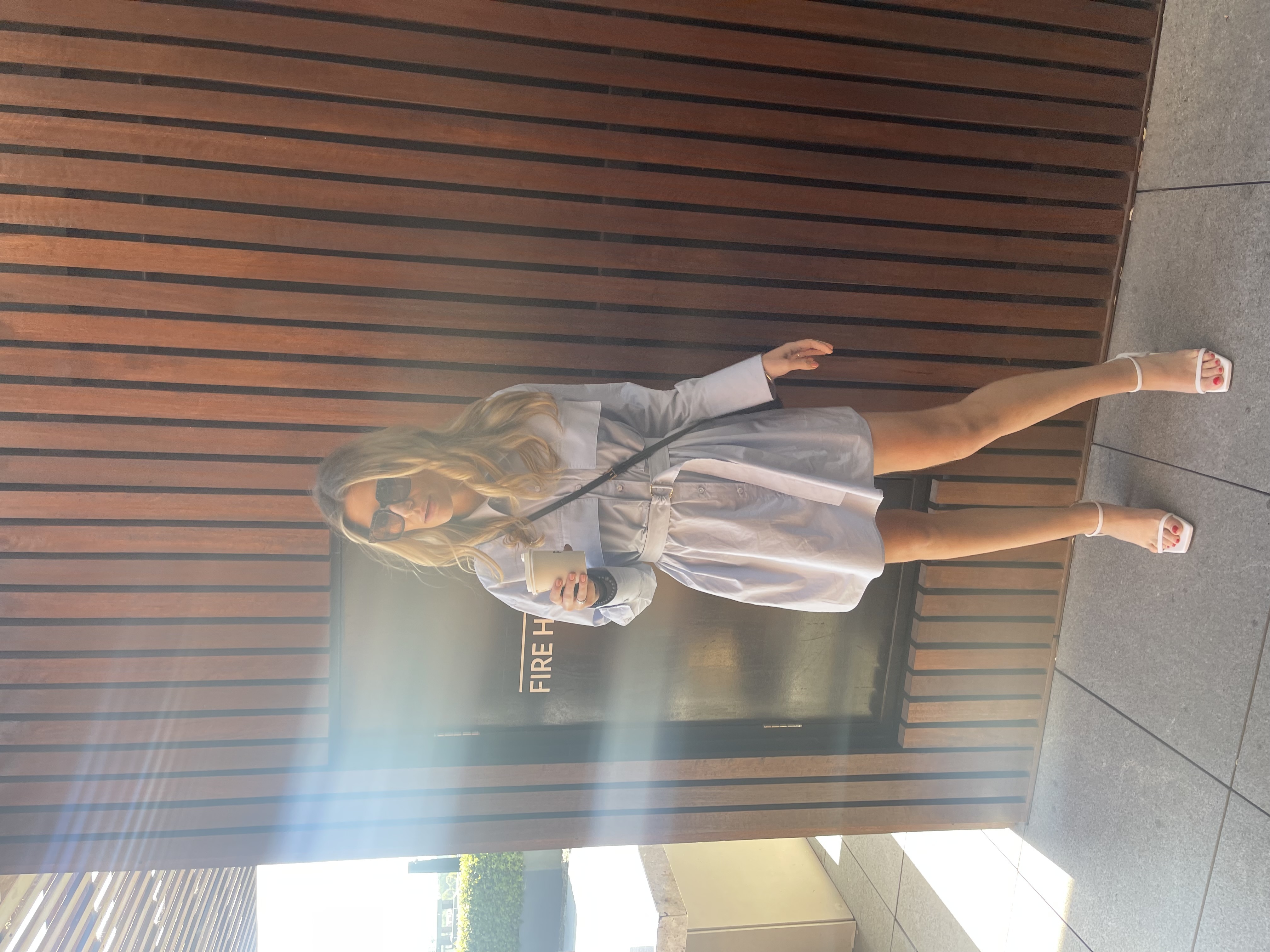 Rent a Blue Scanlan Theodore