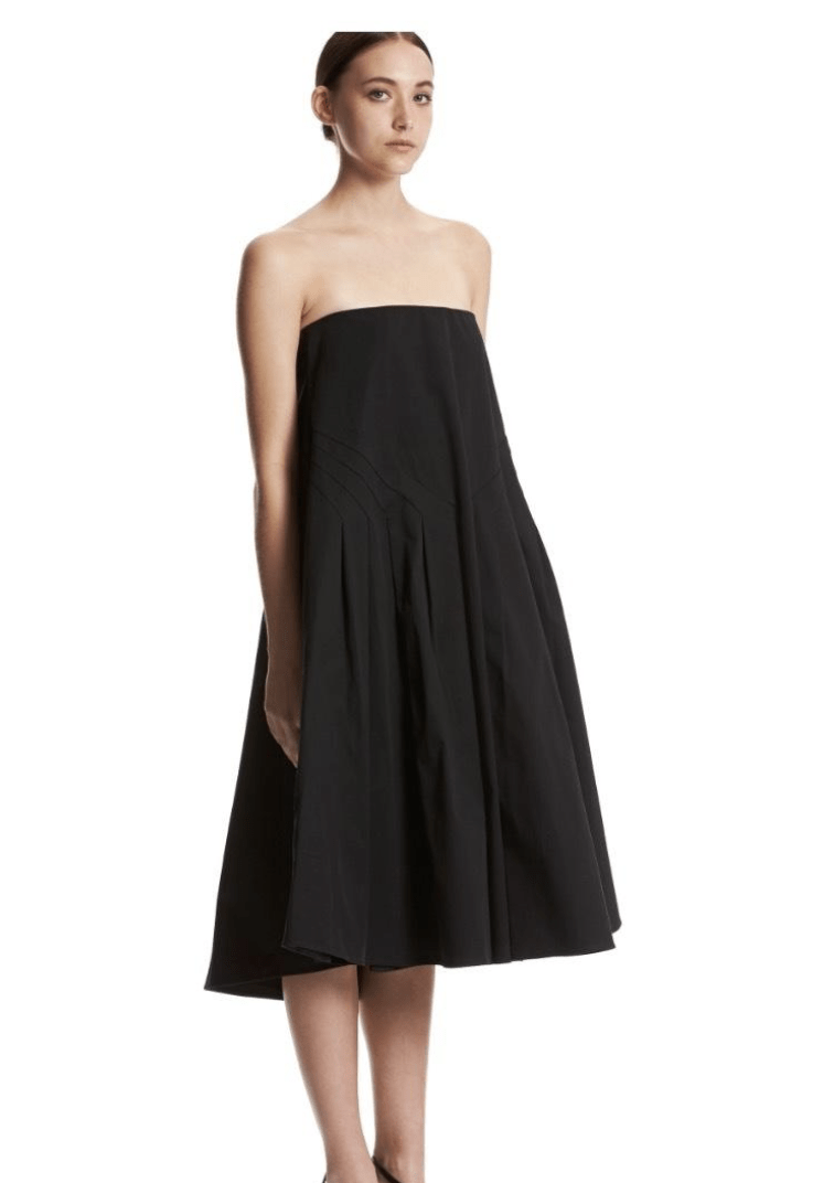 Borrow a Black Scanlan Theodore