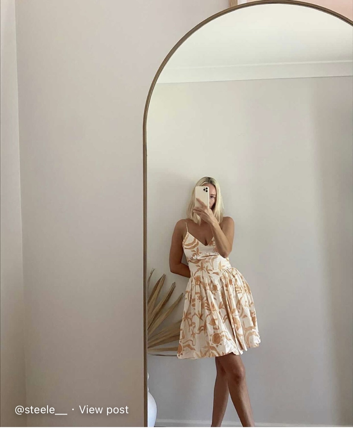 Steele White for lend