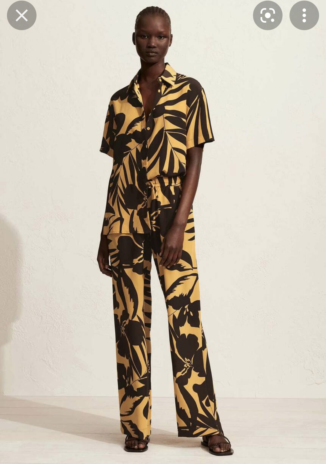 Cheap designer Matteau Banana Palm Set