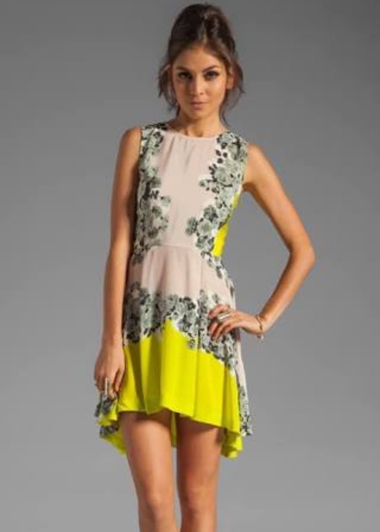 Borrow a Shakuhachi Acid Bloom Kick Out Dress