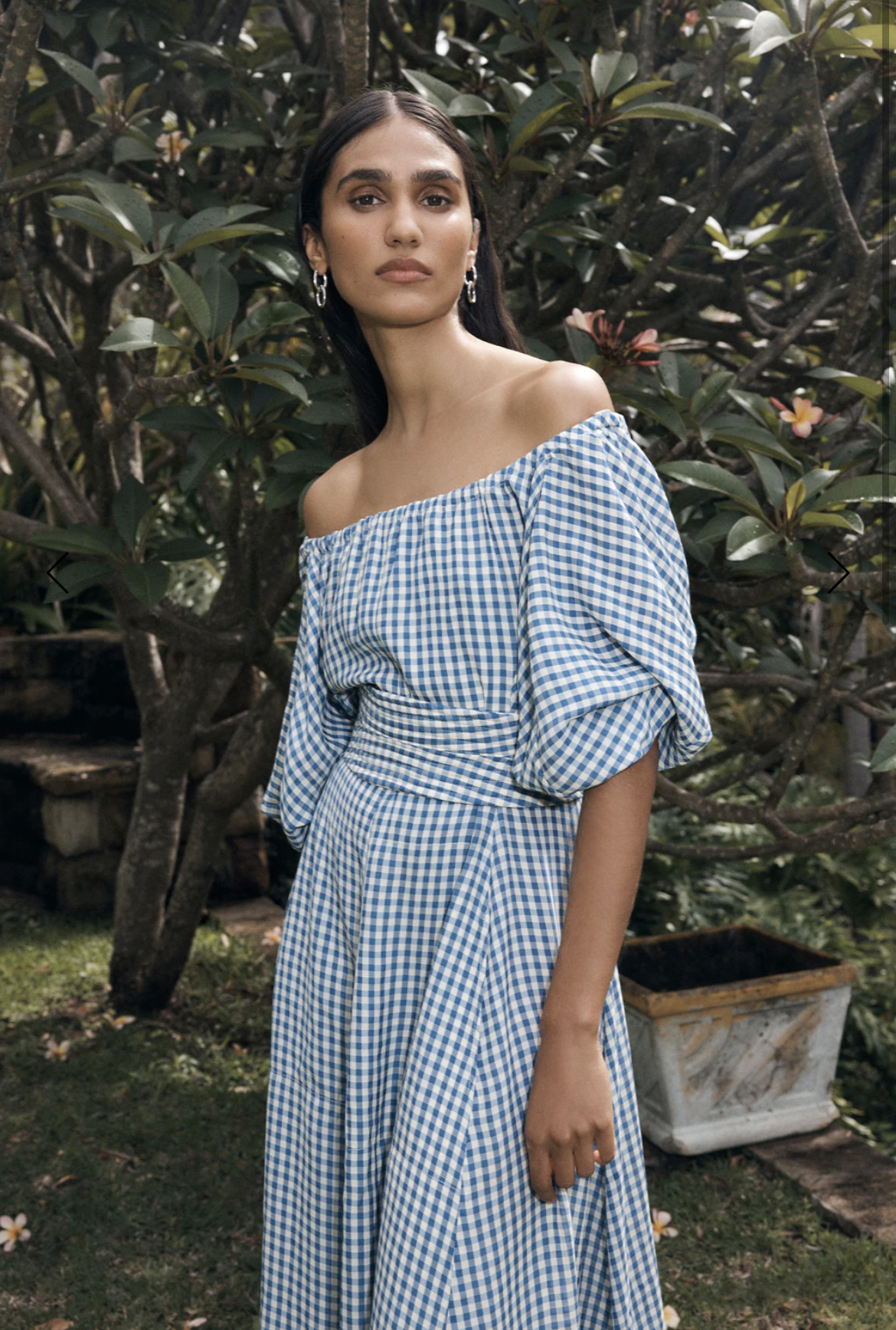 Formal rental Scanlan Theodore Gingham Gathered Dress