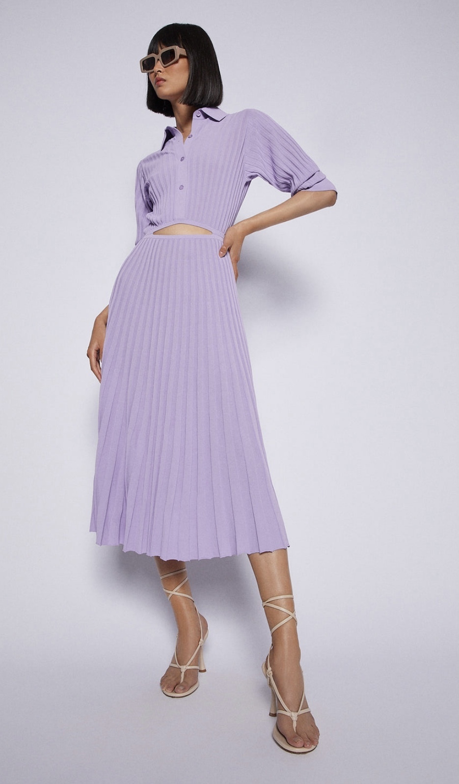 Hire a Purple Scanlan Theodore