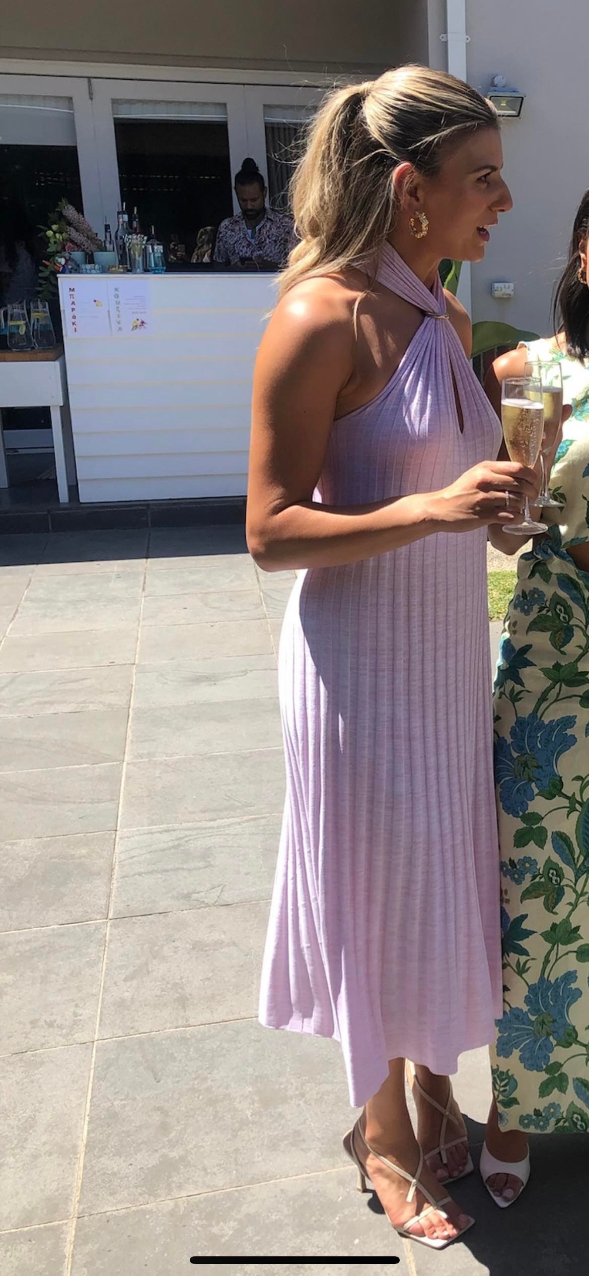 Scanlan Theodore Pink to lend