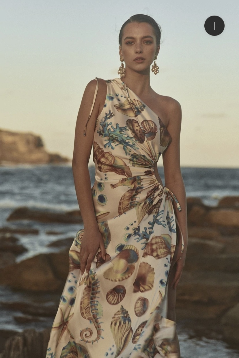 Sonya Moda Print for loan