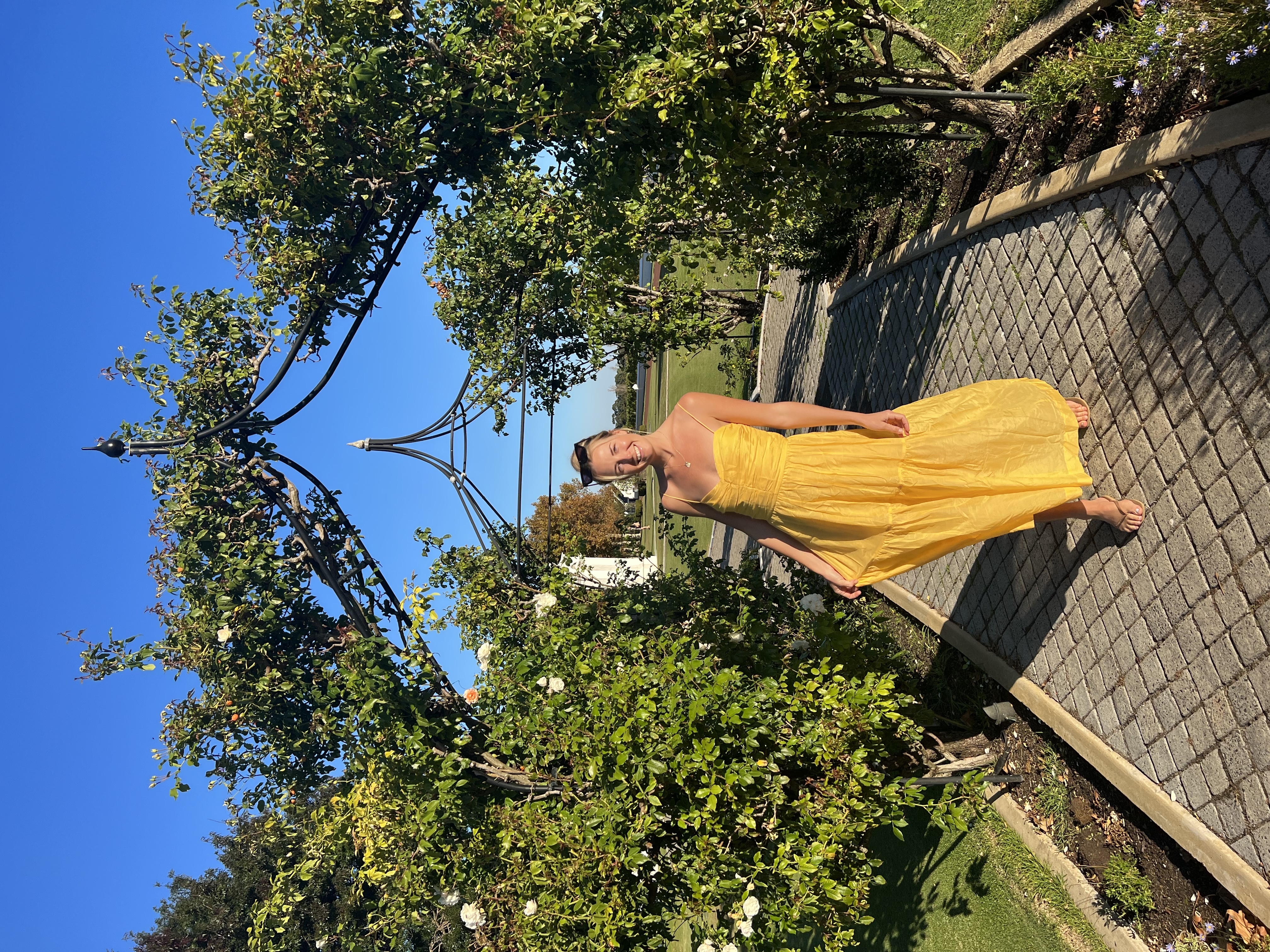 Formal rental Bec & Bridge Dress