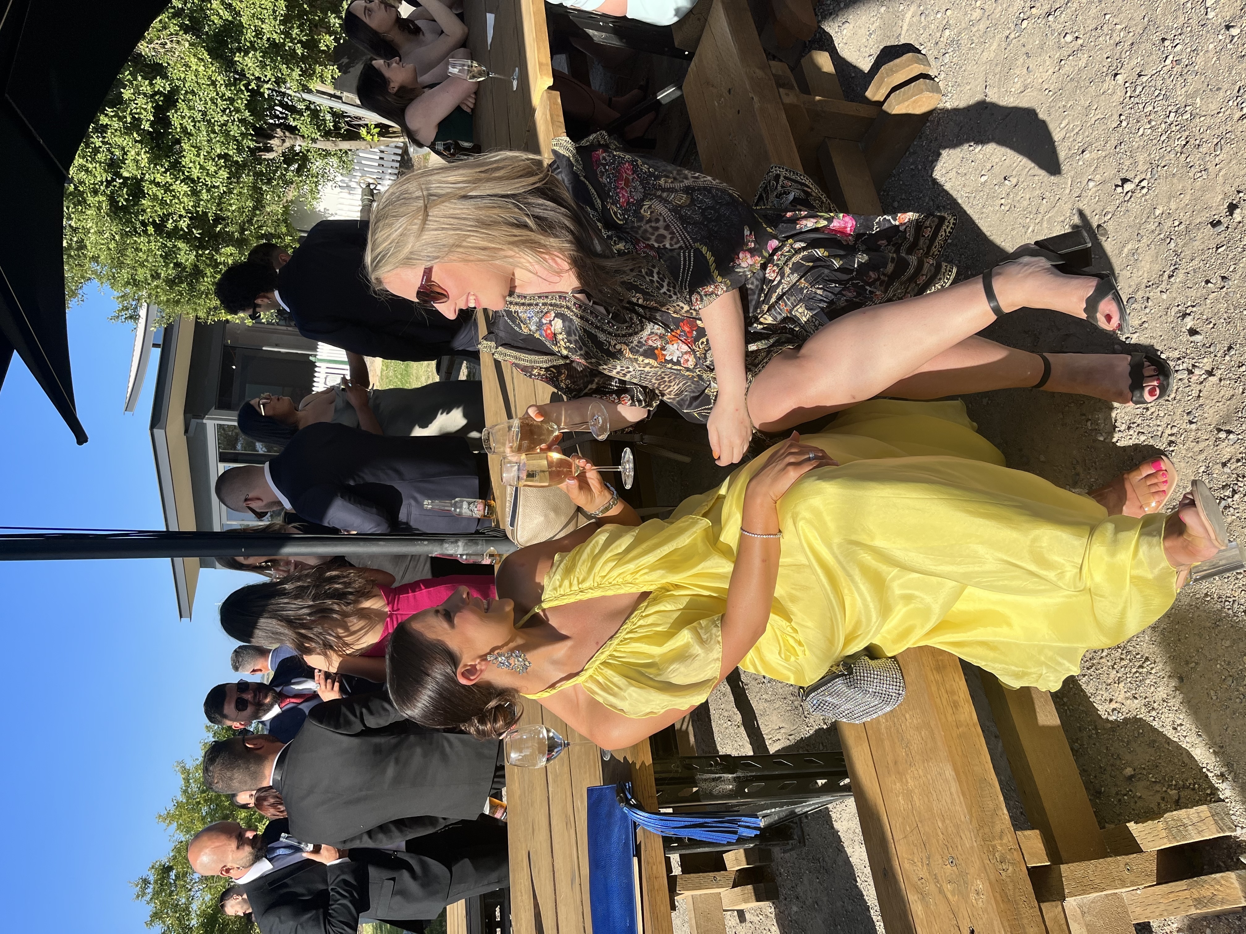 Lisa Brown Yellow to rent