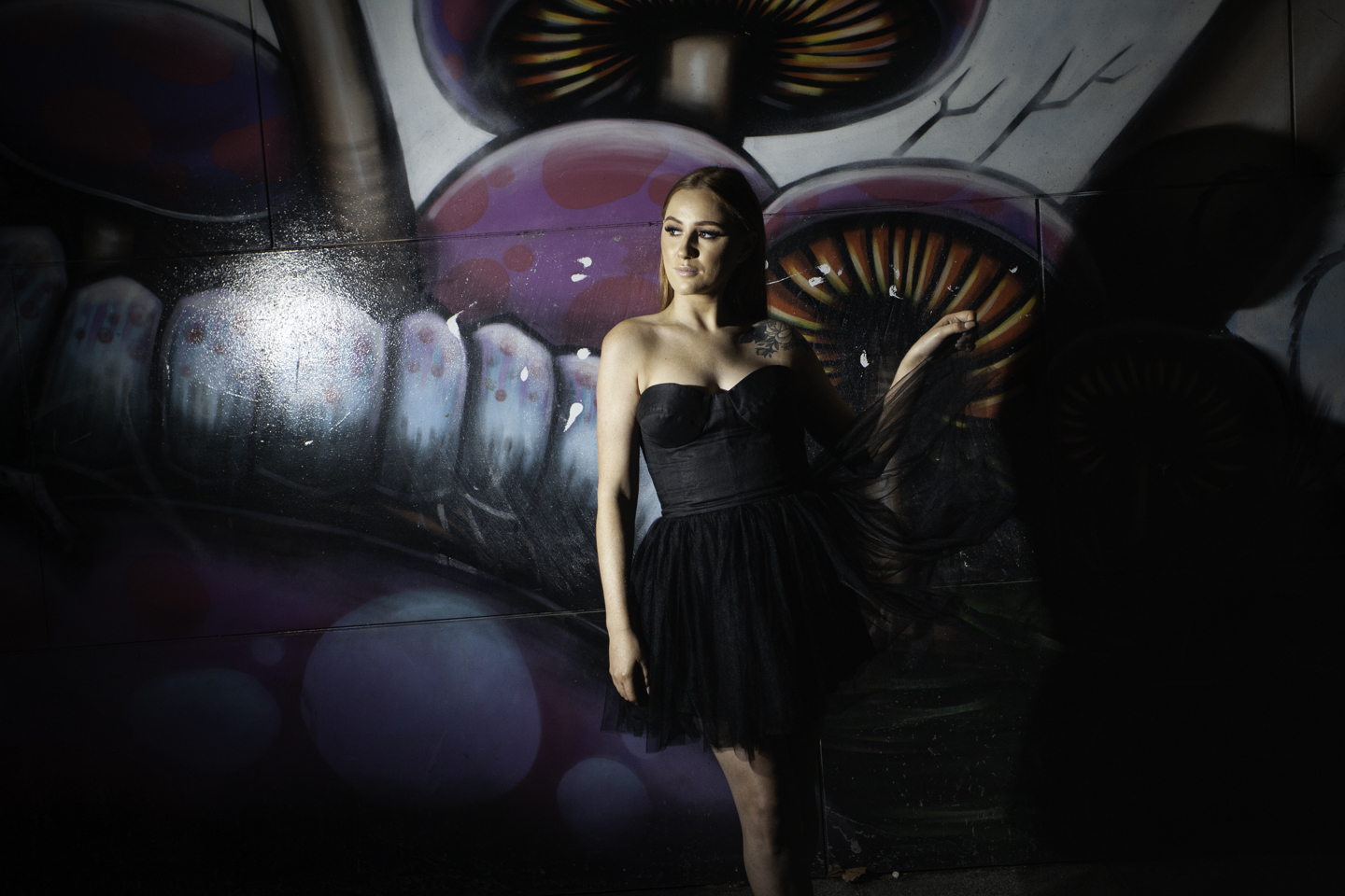 Borrow a C&M Camilla And Marc Dress