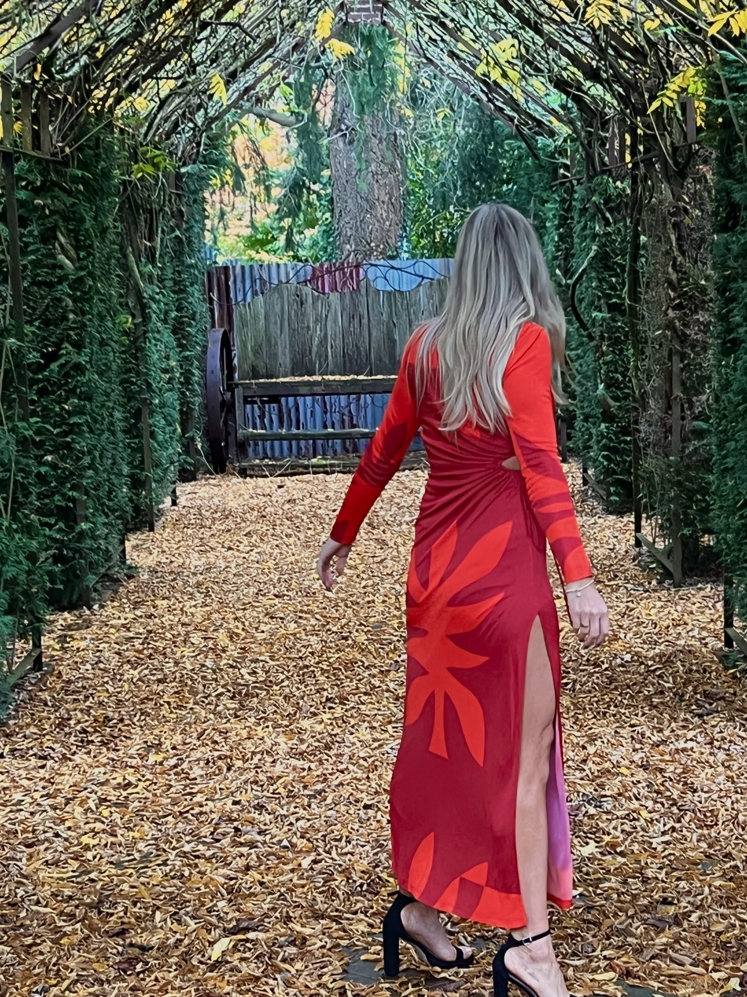 Formal rental Red Manning Cartell