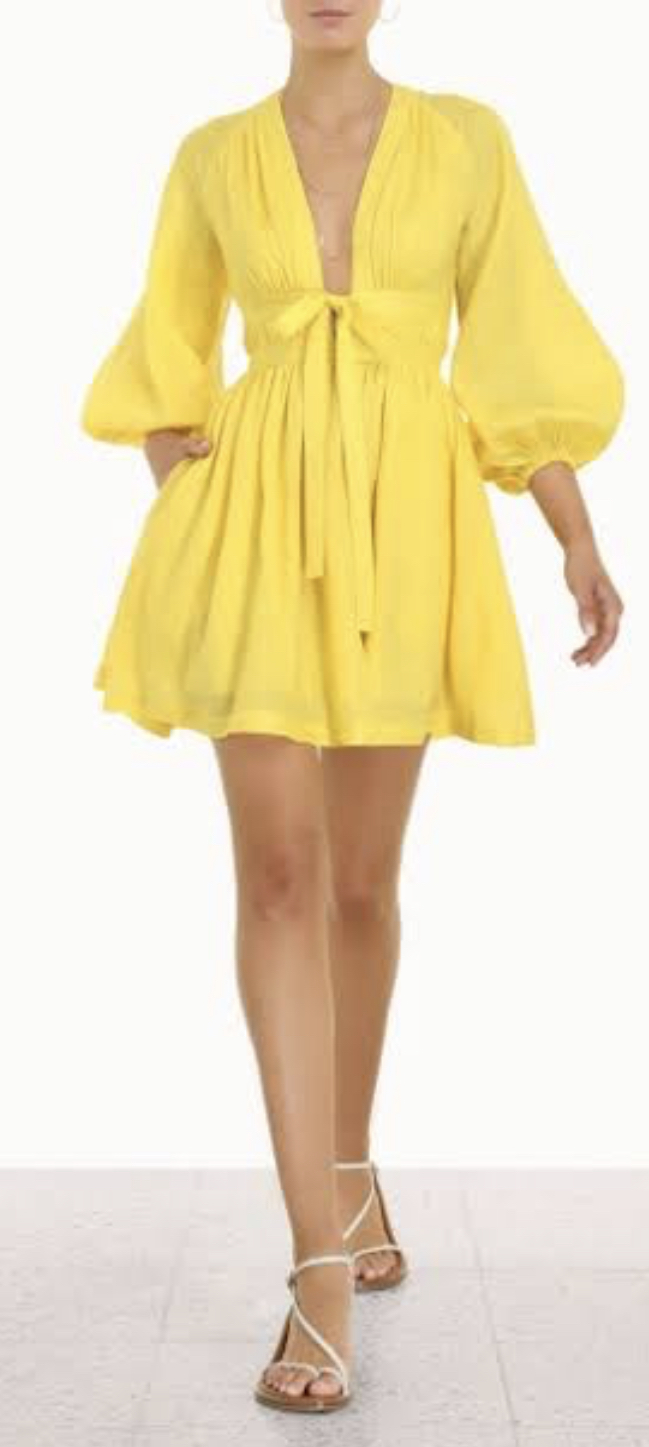 Formal rental Zimmermann Shelly Plunge Bow Mini Dress