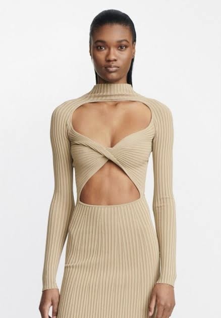 Borrow a Beige Dion Lee