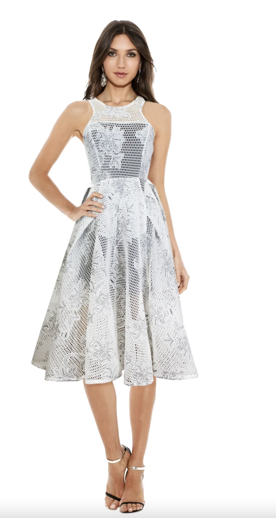 Premonition Designs White to loan