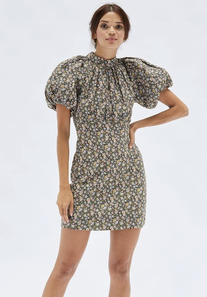 Loan a Other Minkpink