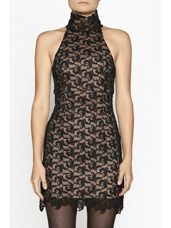 Borrow a Camilla And Marc Light And Shade Paneled Lace Dress