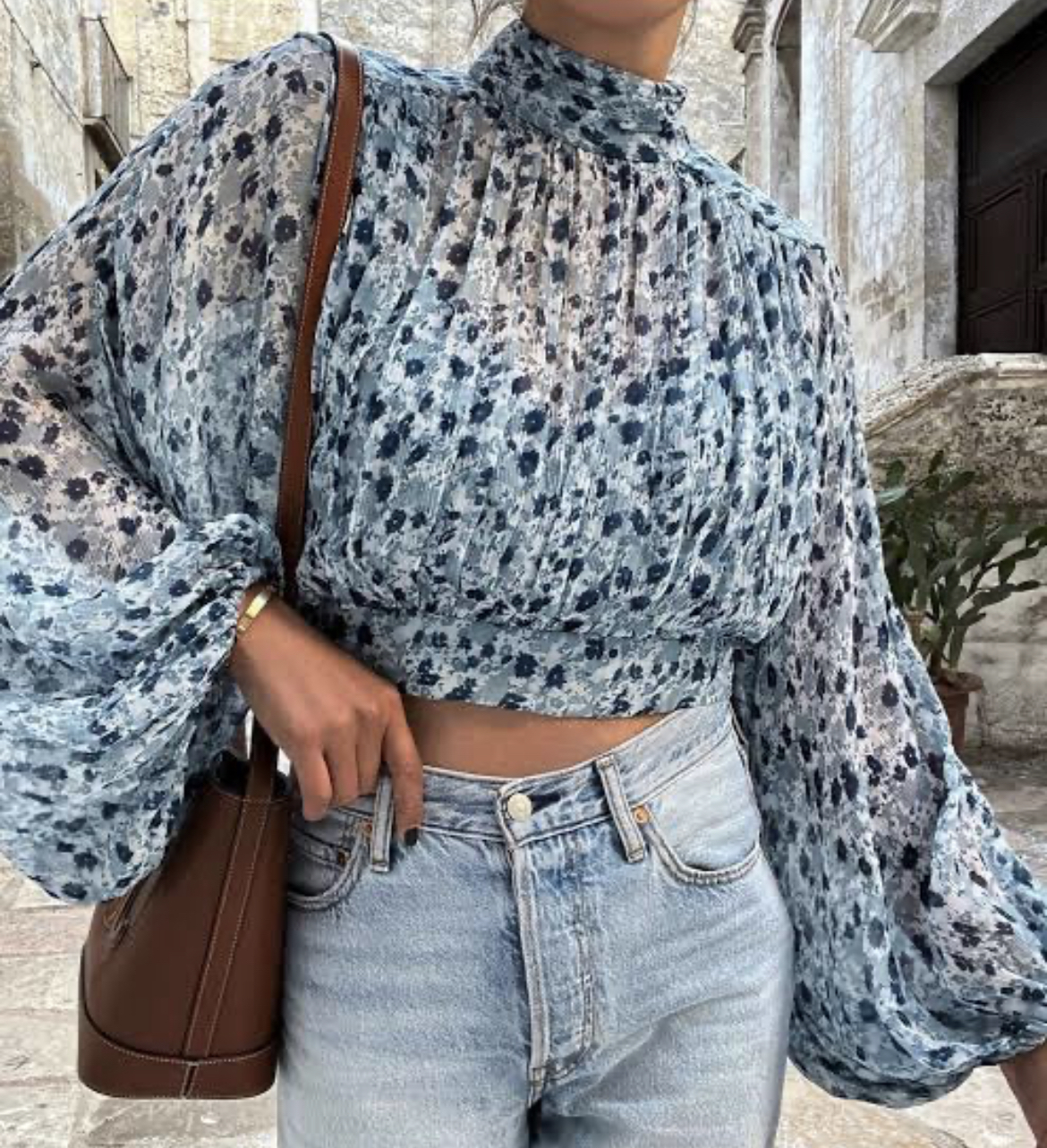 Shona Joy Blue for loan