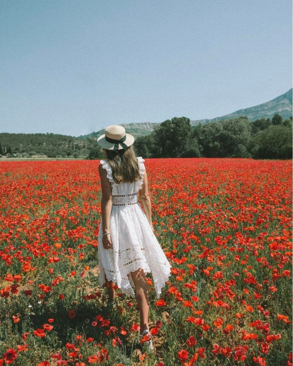 Designer rental Black Zimmermann