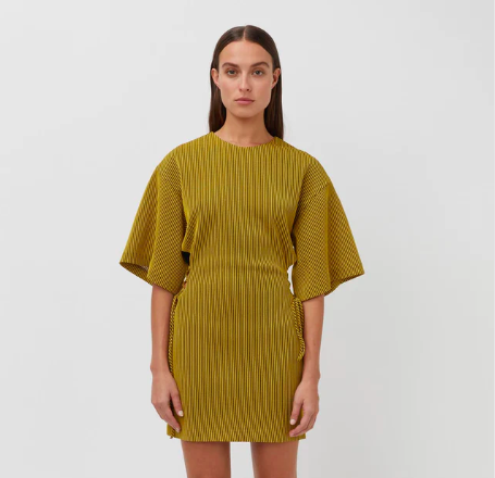 Rental Camilla And Marc Izaro Mini Dress