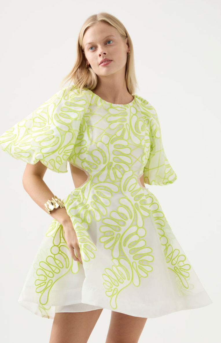 Designer rental Aje Botanical Applique Mini Dress