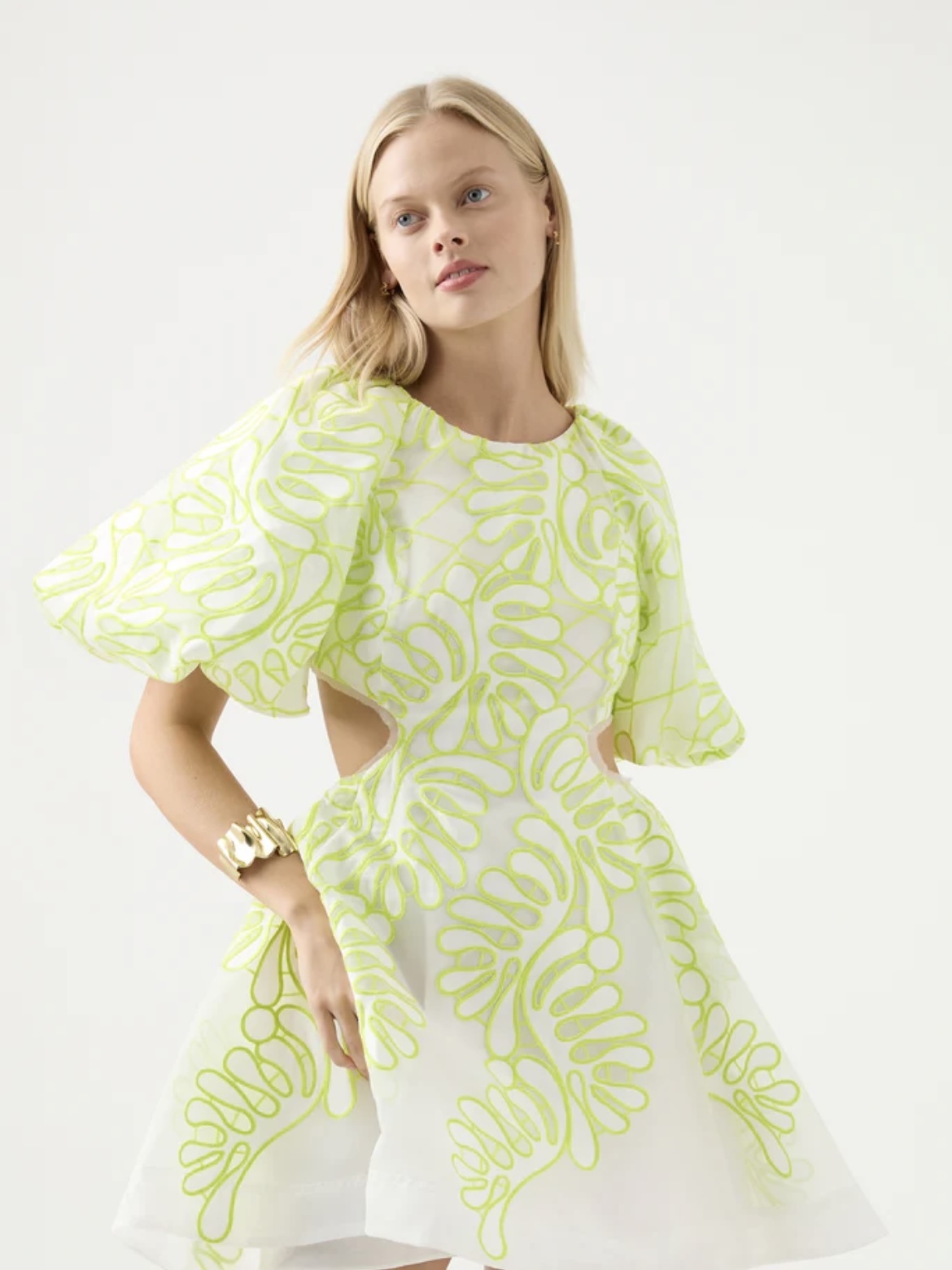 For rent a Aje Botanical Applique Mini Dress