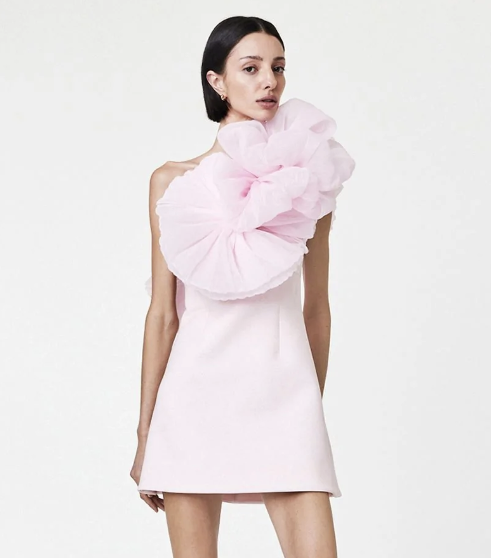 Rachel Gilbert Pink to borrow