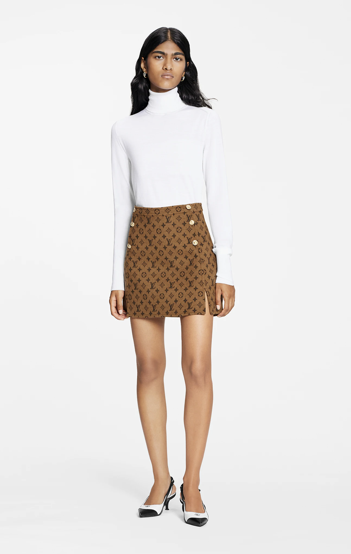 Louis Vuitton Brown rental