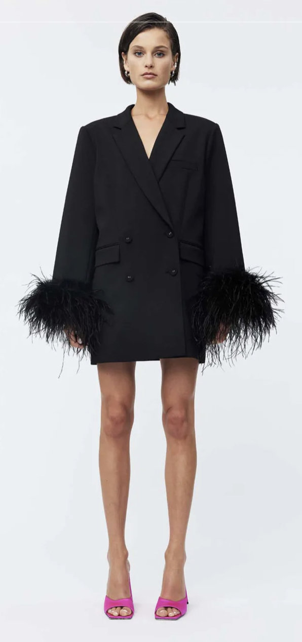 Borrow a Rachel Gilbert Lincoln Mini Dress