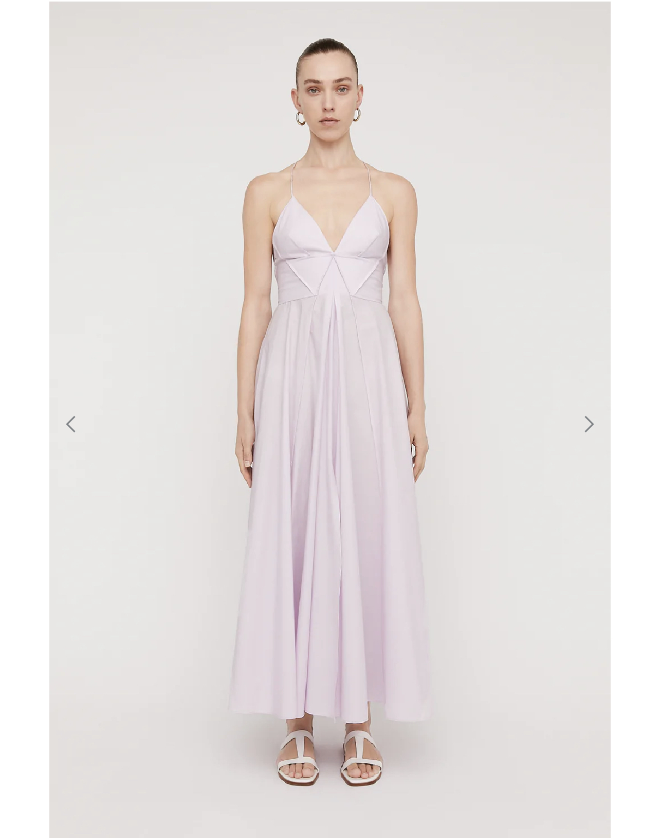 Scanlan Theodore Purple to borrow