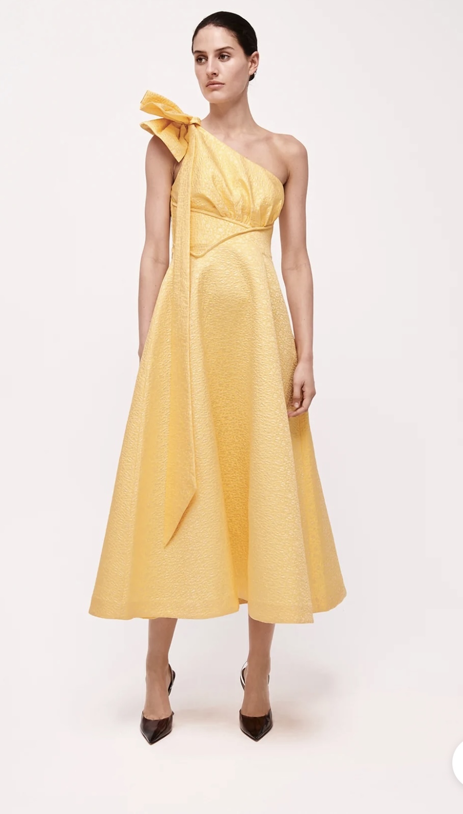 Rent a Yellow Rachel Gilbert