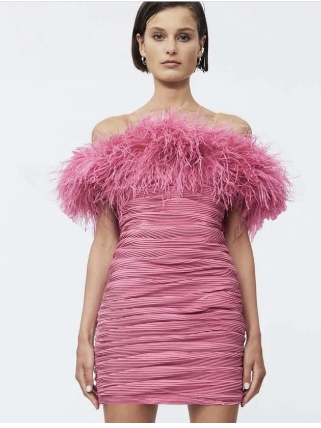 Designer rental Rachel Gilbert Zion Mini Dress