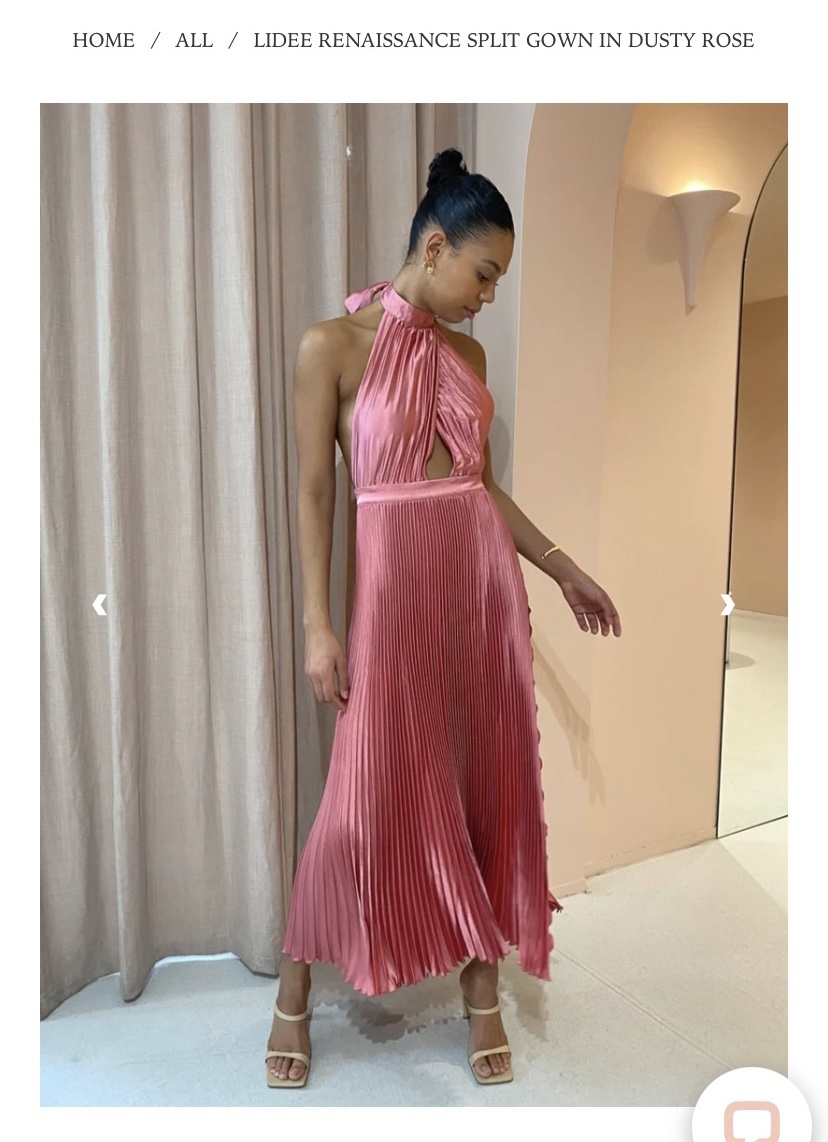 Hire a Lidee Renaissance Split Gown