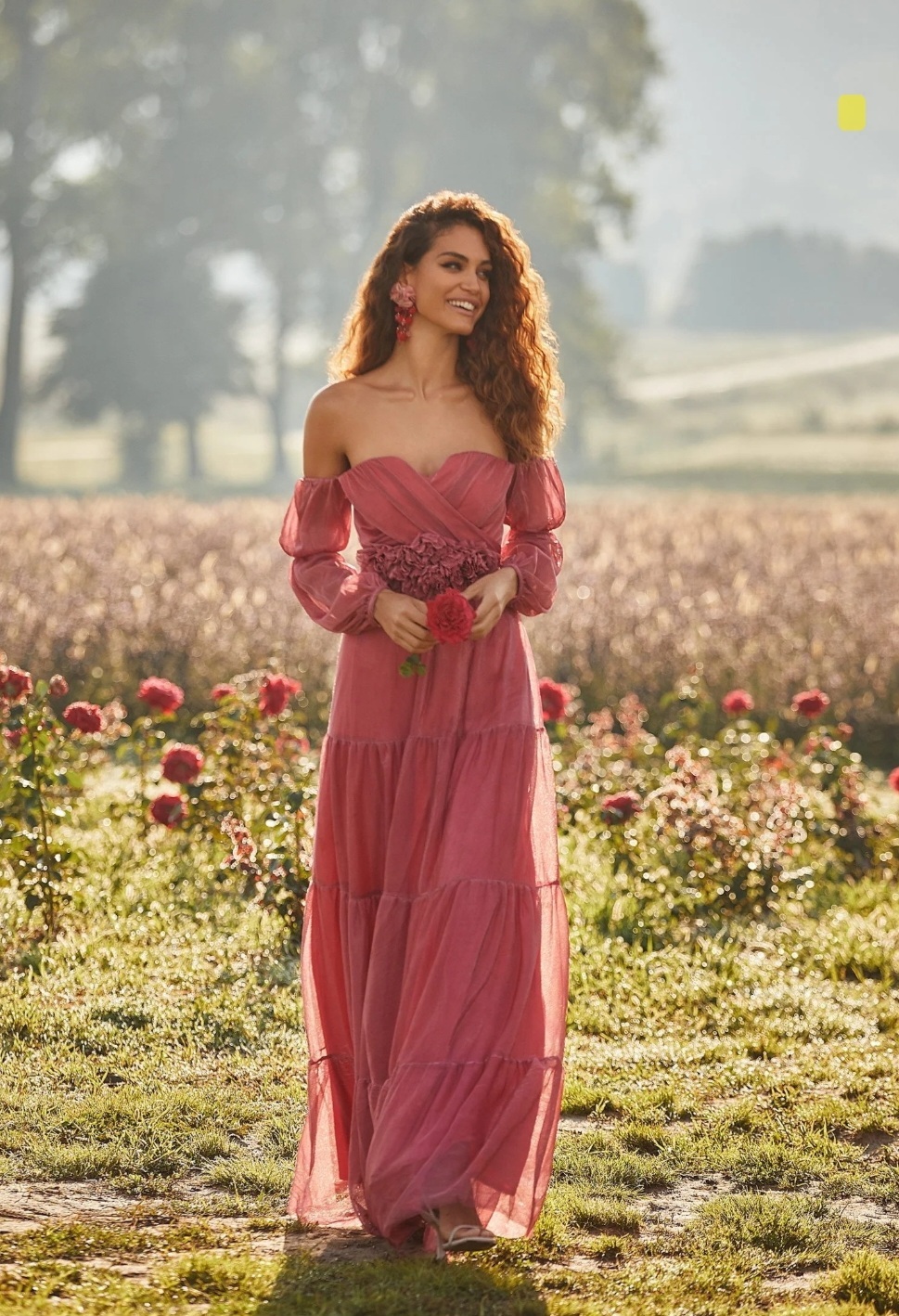 Rent a Red Alamour The Label