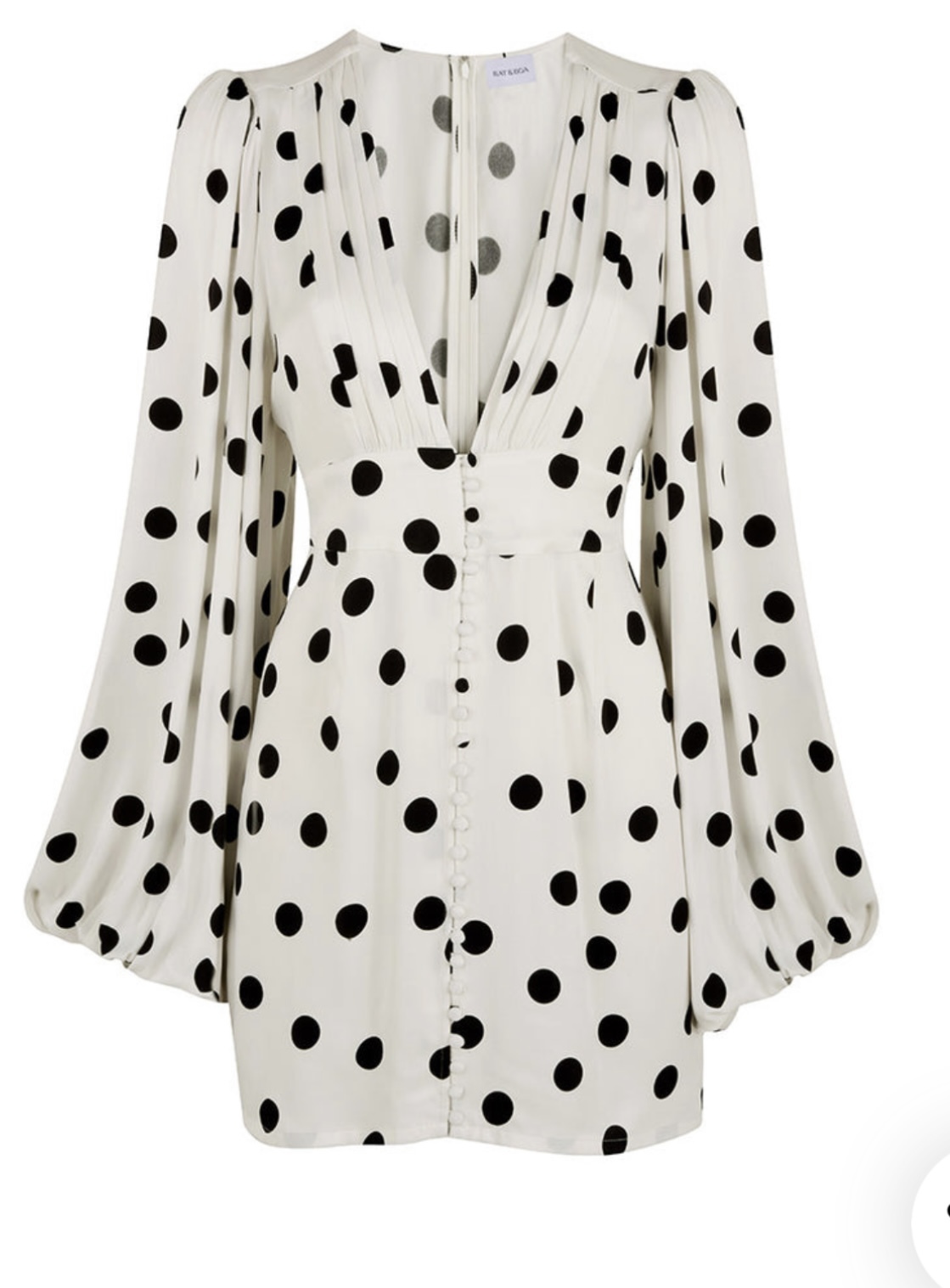 Rat And Boa White to borrow