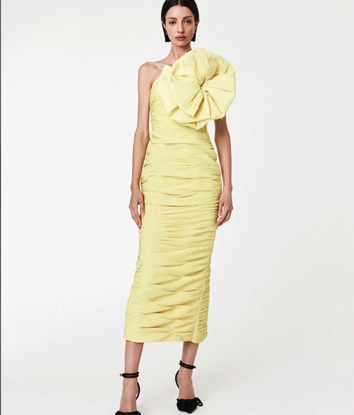 Rent a Yellow Rachel Gilbert