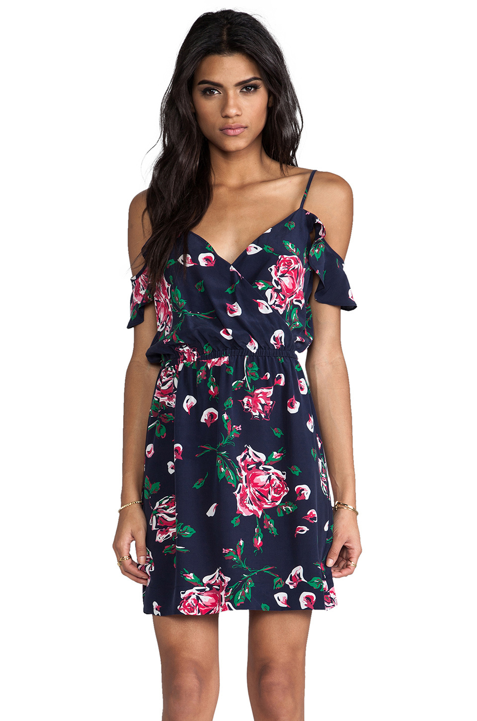 Loan a Joie Sari Rose Print Dress